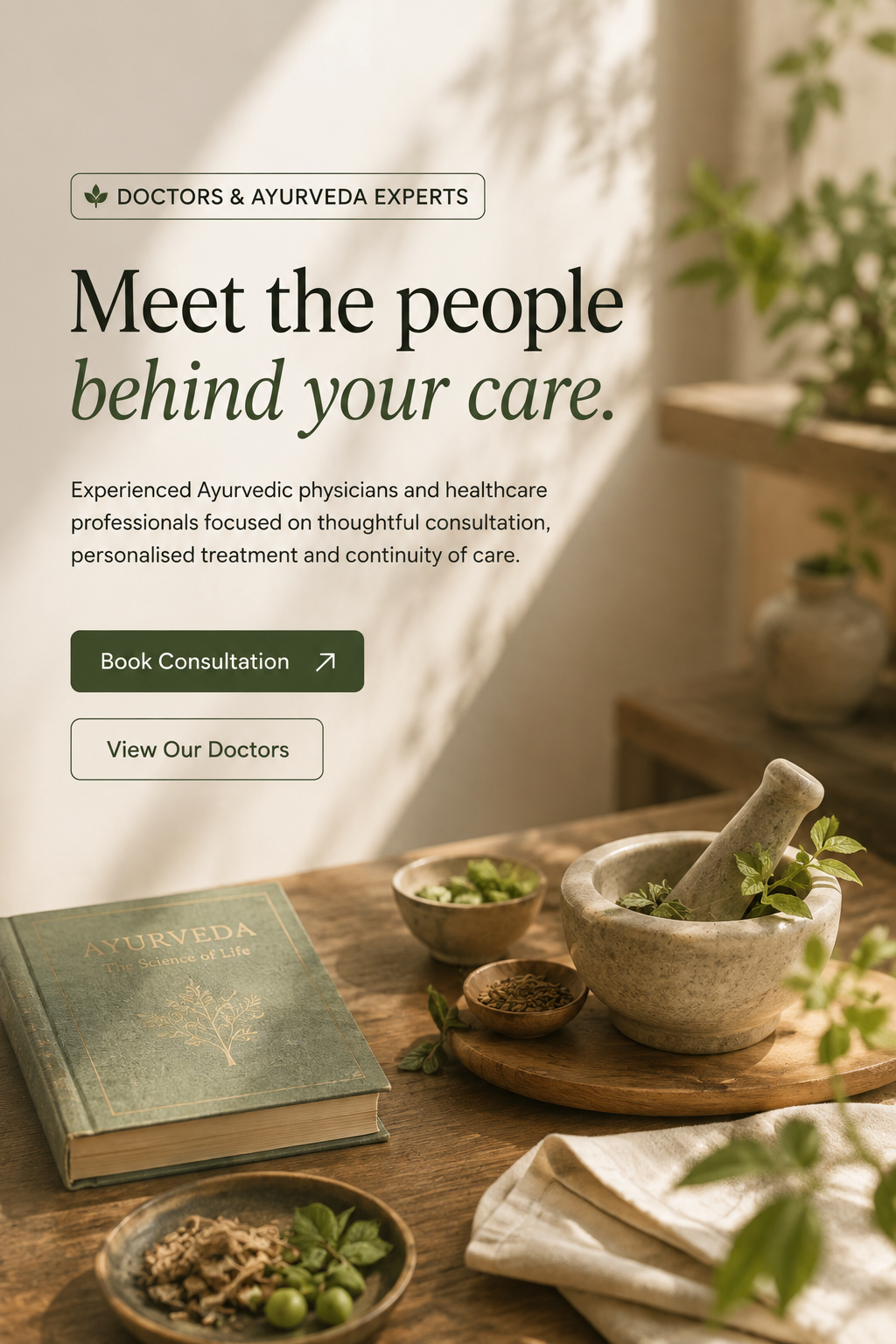 Ayurvedic doctor consultation at MSM Ayurveda